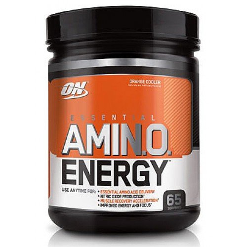 ON Essential Amino Energy 585 gr